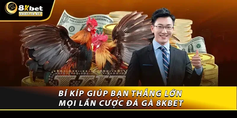 Bí kíp giúp bạn thắng lớn mọi lần cược đá gà 8KBET