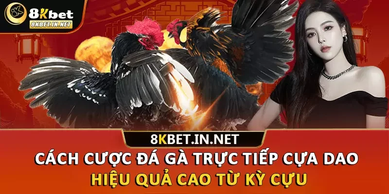 Cách cược đá gà trực tiếp cựa dao hiệu quả cao từ kỳ cựu