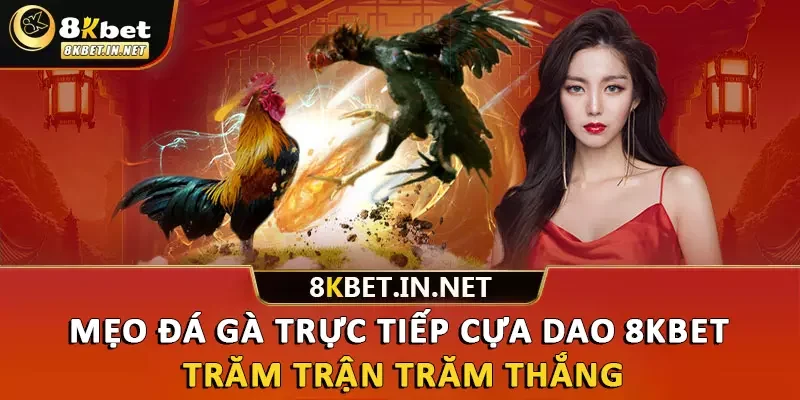 Mẹo Đá Gà Trực Tiếp Cựa Dao 8kbet Trăm Trận Trăm Thắng