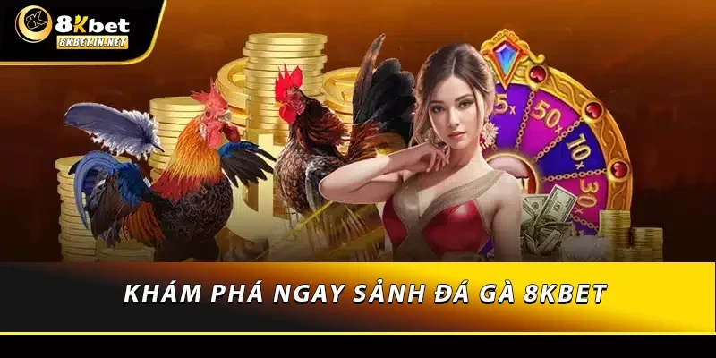 Khám phá ngay sảnh đá gà 8KBET