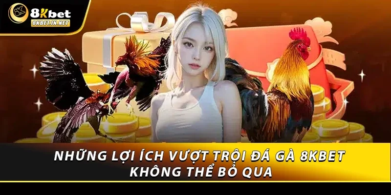 Những lợi ích vượt trội đá gà 8KBET không thể bỏ qua
