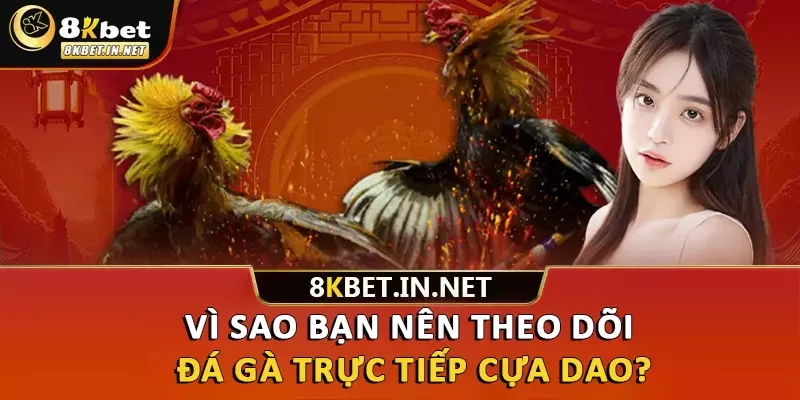 Vì sao bạn nên theo dõi đá gà trực tiếp cựa dao?